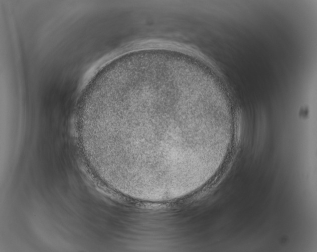 X0000115071501200912081136