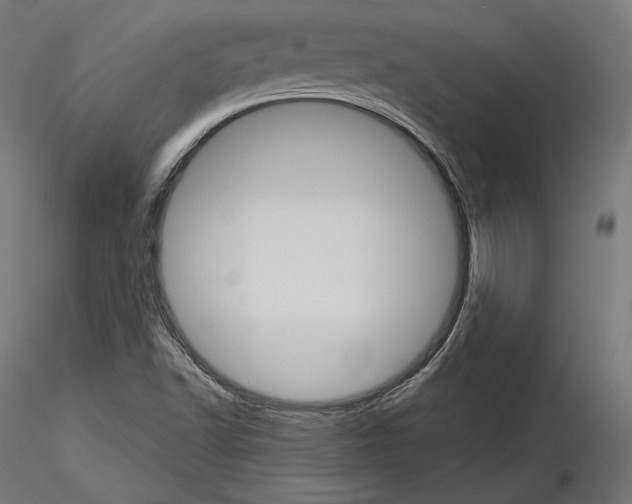 X0000115071502200912081136