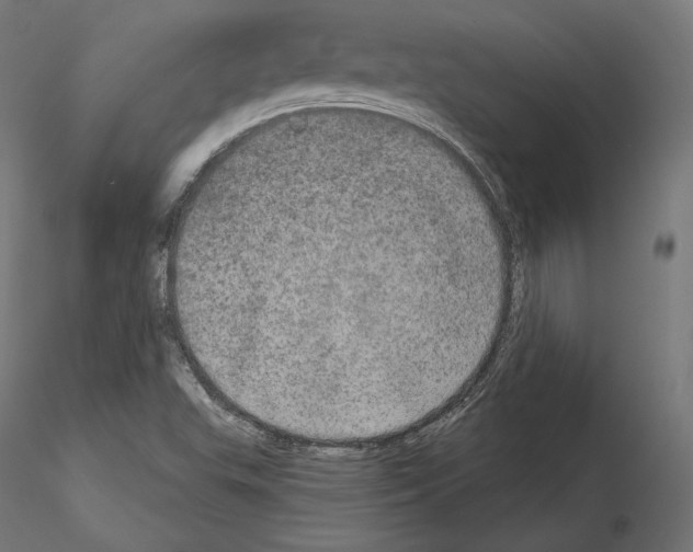 X0000115071503200912081136