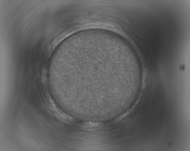 X0000115071505200912081136