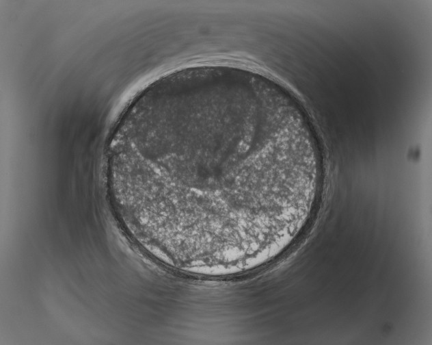 X0000115071506200912081136