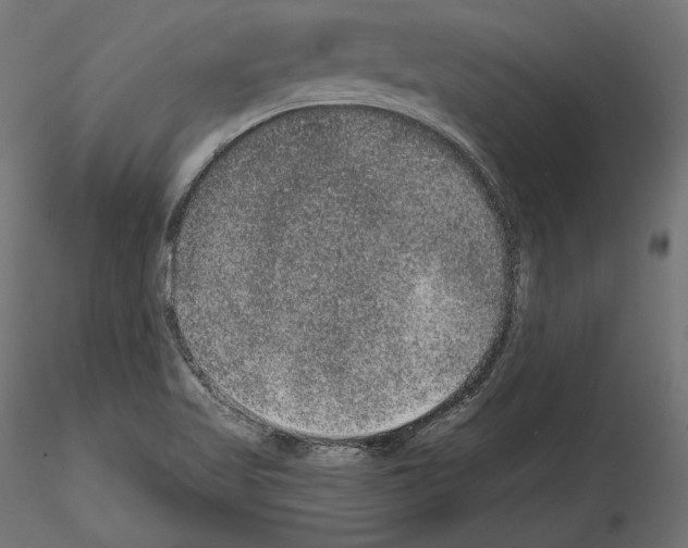 X0000115071509200912081136