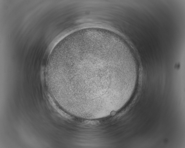 X0000115071513200912081136