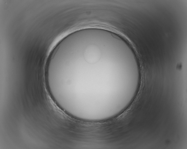 X0000115071514200912081136