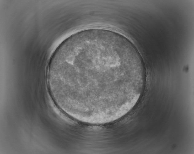 X0000115071515200912081136