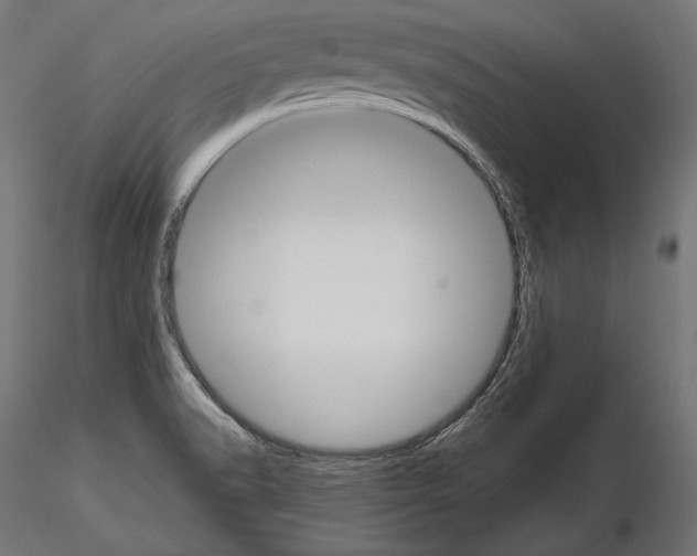 X0000115071518200912081136