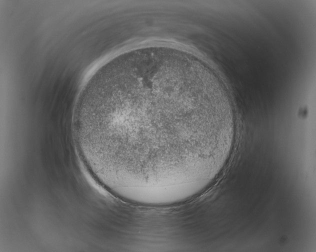 X0000115071519200912081136