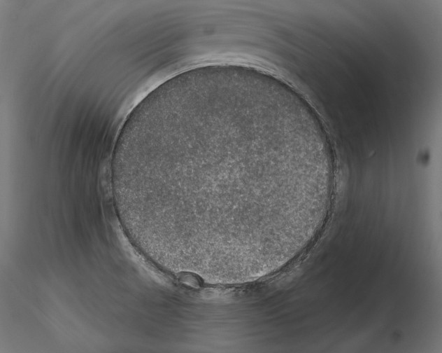 X0000115071521200912081136