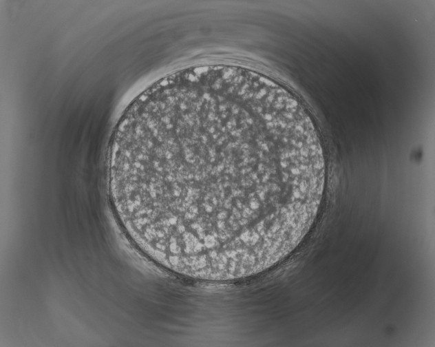 X0000115071522200912081136
