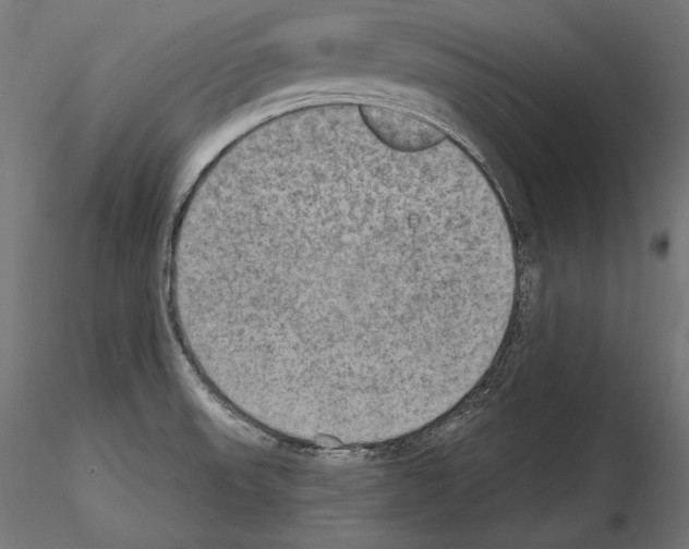 X0000115071523200912081136