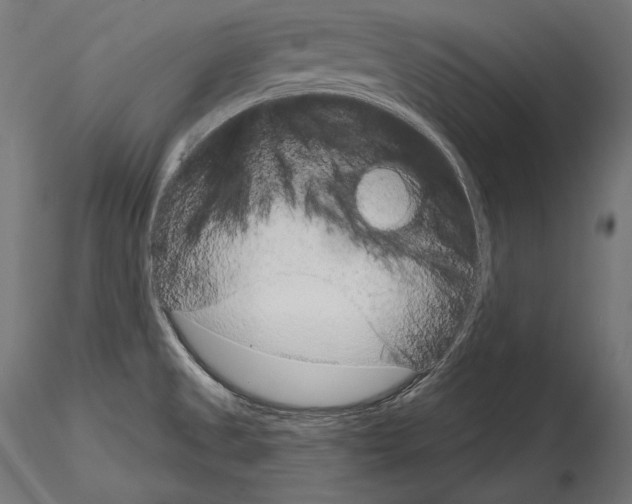 X0000115071525200912081136