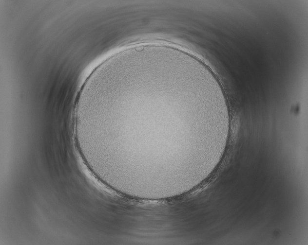 X0000115071526200912081136
