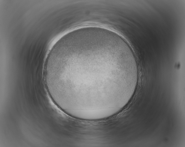 X0000115071527200912081136