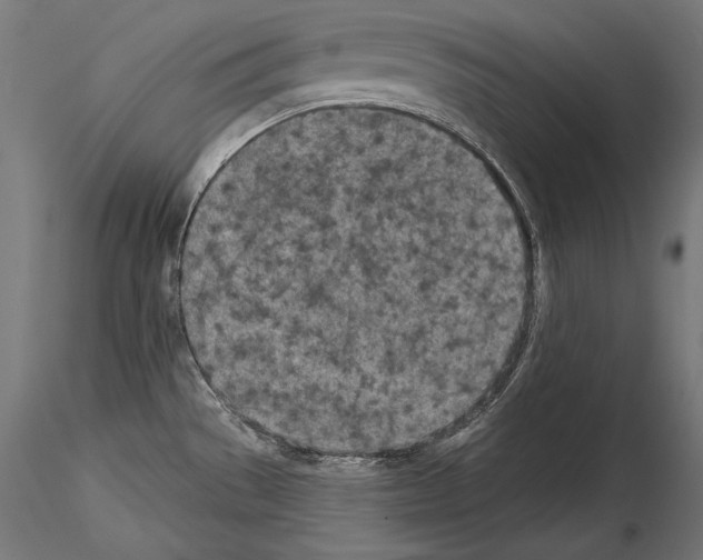X0000115071529200912081136