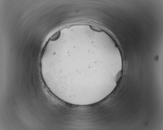 X0000115071530200912081136