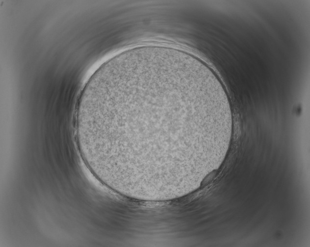 X0000115071531200912081136