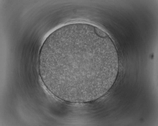 X0000115071534200912081136