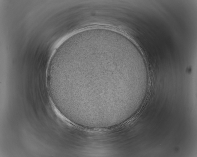 X0000115071535200912081136