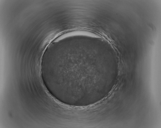 X0000115080002200911101512