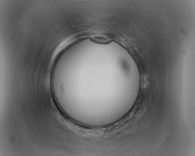 X0000115080004200911101512