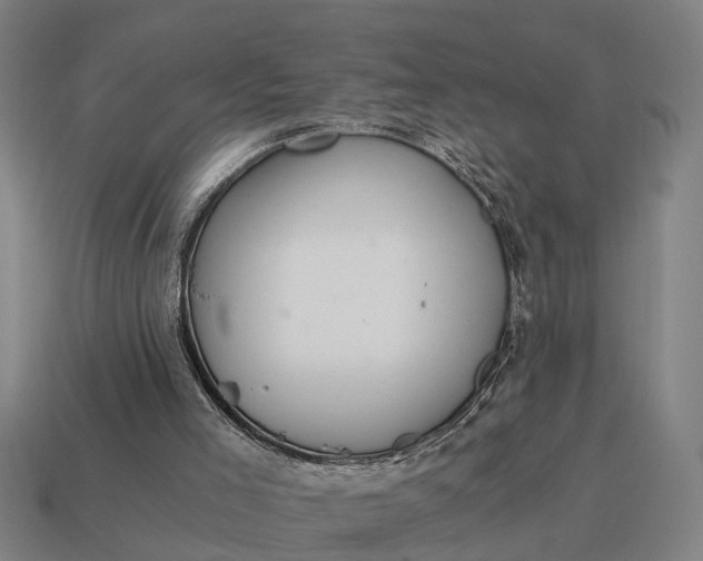 X0000115080005200911101512