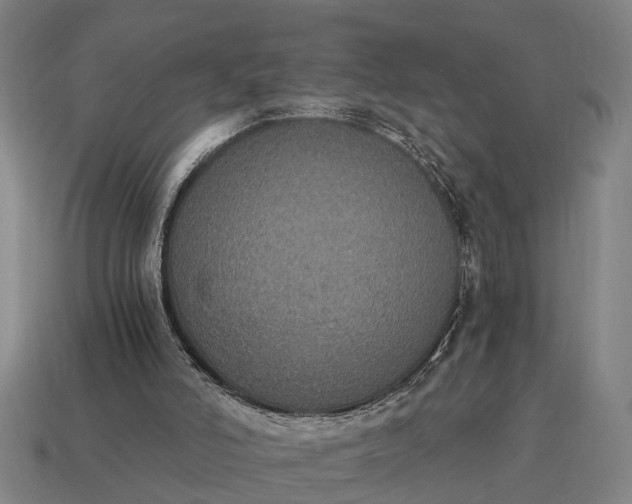 X0000115080006200911101512