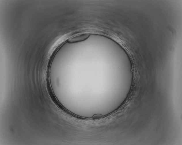 X0000115080007200911101512