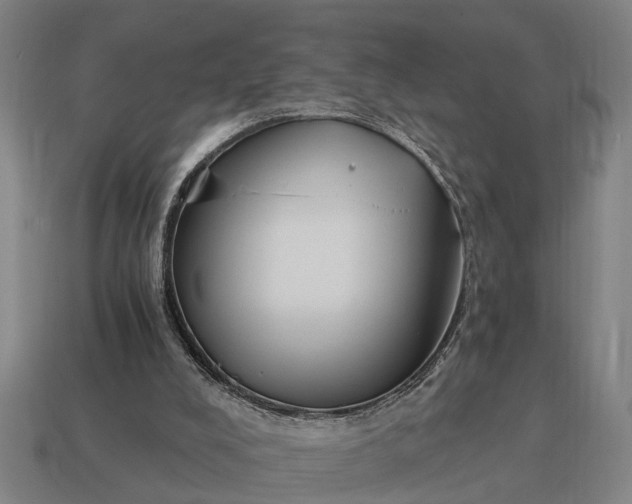 X0000115080008200911101512