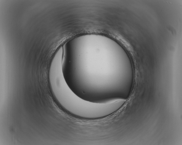 X0000115080009200911101512