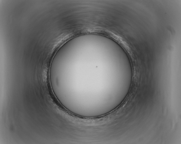 X0000115080010200911101512