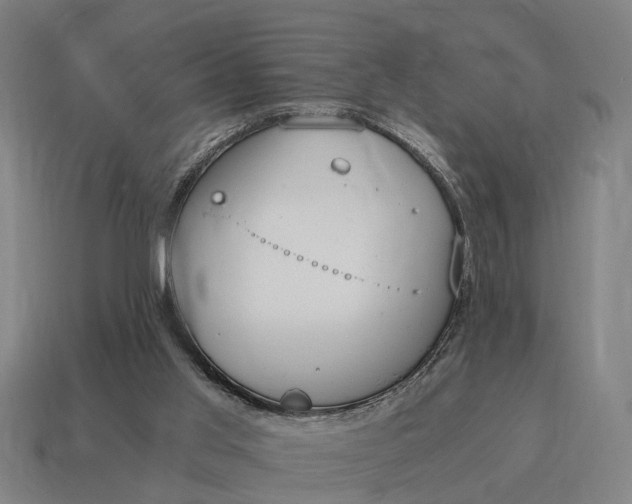 X0000115080013200911101512