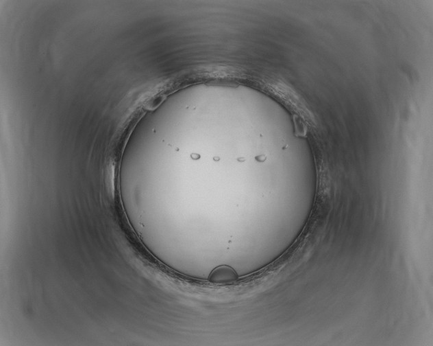 X0000115080014200911101512