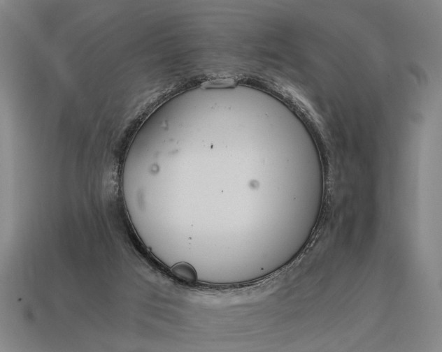 X0000115080017200911101512