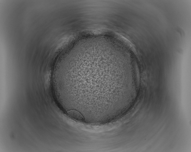 X0000115080018200911101512