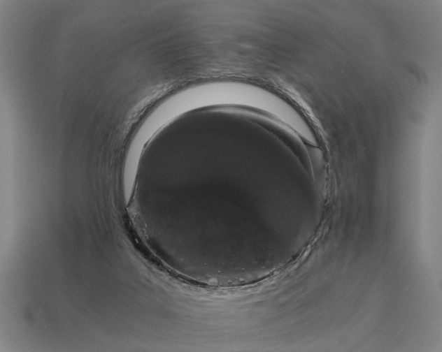 X0000115080019200911101512