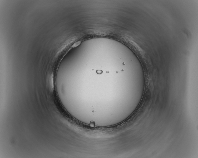 X0000115080020200911101512