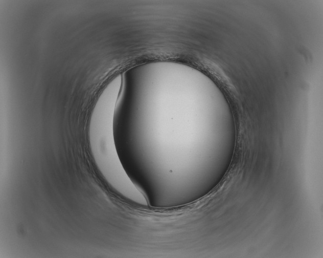 X0000115080021200911101512