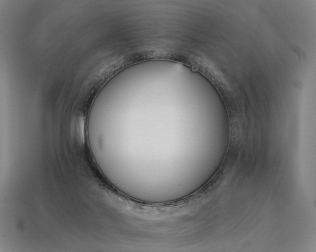 X0000115080022200911101512