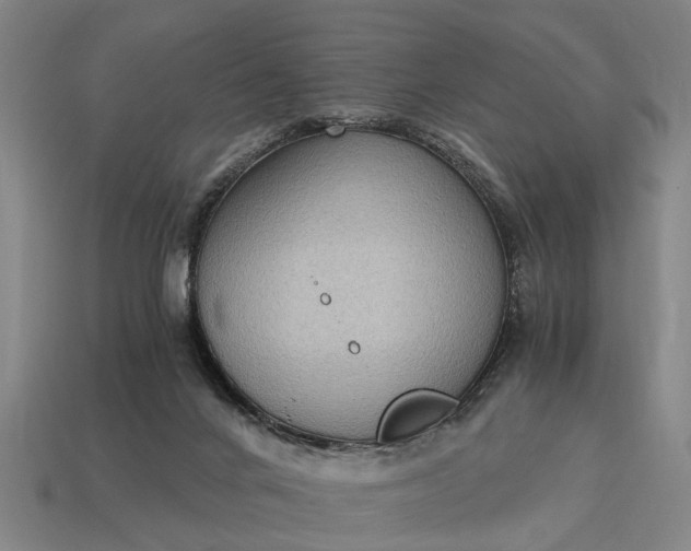 X0000115080024200911101512
