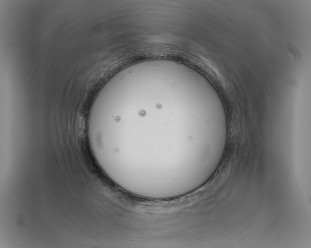 X0000115080025200911101512