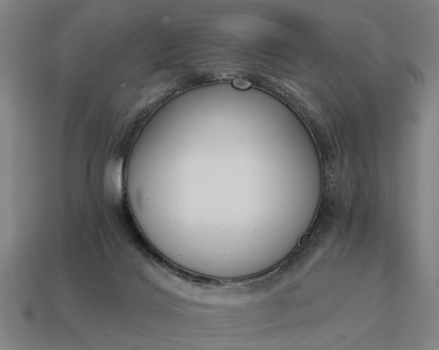 X0000115080028200911101512