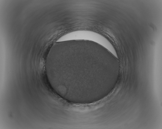 X0000115080029200911101512