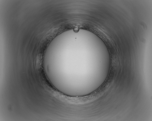 X0000115080030200911101512