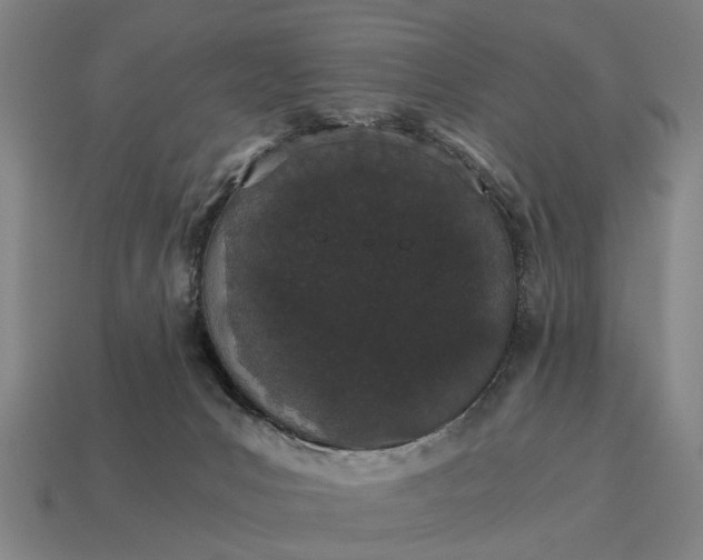 X0000115080031200911101512