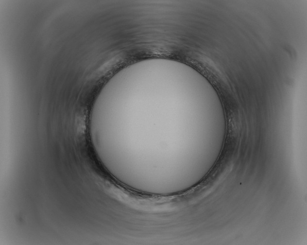X0000115080032200911101512