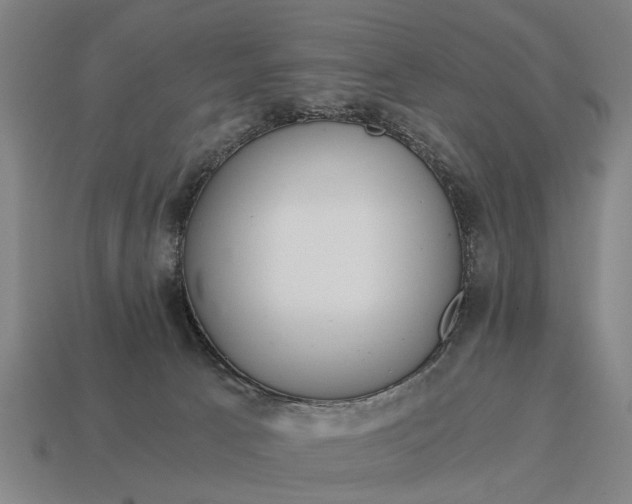 X0000115080033200911101512