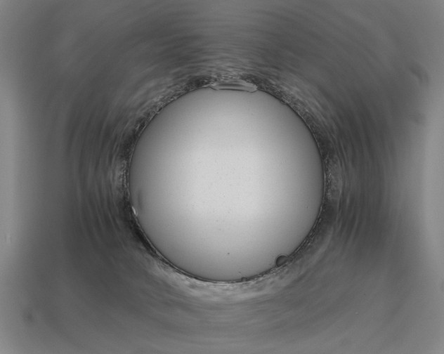 X0000115080034200911101512