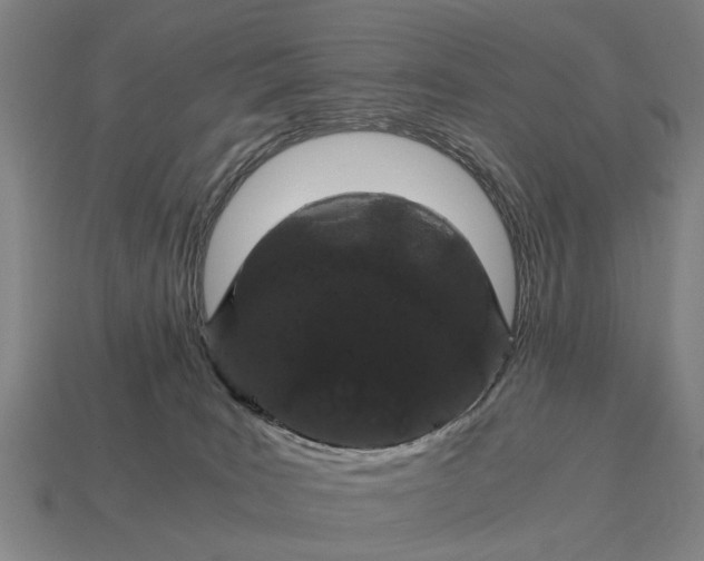 X0000115080035200911101512