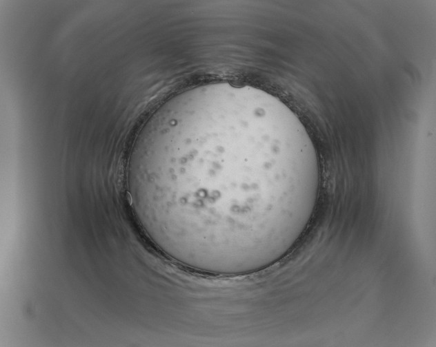 X0000115080036200911101512