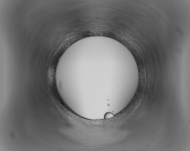 X0000115080038200911101512